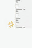 Accessory - Hashtag Post Earrings