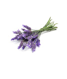 Doterra - Lavender Essential Oil