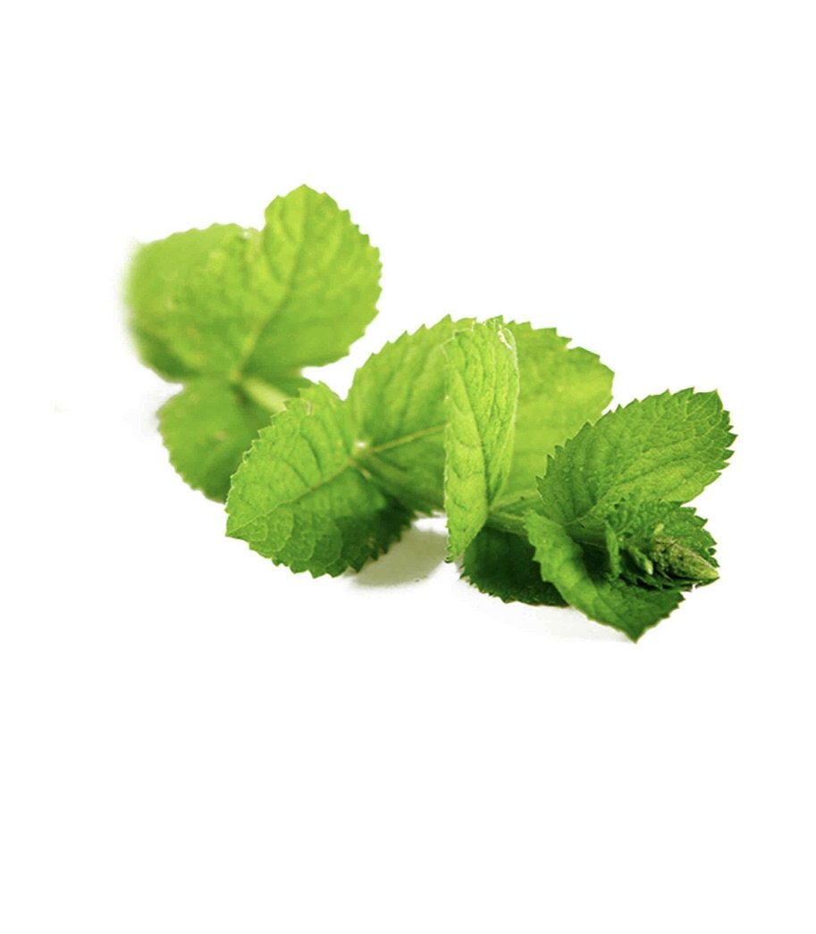 Doterra - Essential Oil Peppermint